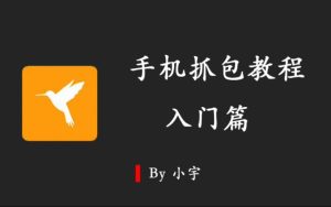 手机抓包教程入门-源码快车