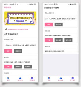 抖音短视频背景音乐解析下载工具-源码快车