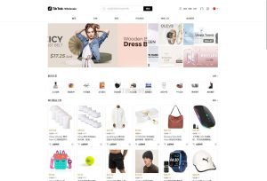 全开源TikTok跨境商城源码/TikTok内嵌商城+搭建教程/前端uniapp+后端-源码快车