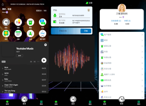 海外多语言音乐刷单抢单源码/连单卡单/叠加组规则/打针/前端html/后端PHP-源码快车