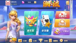 创胜系列/划水麻将捉麻子游戏房卡棋牌组件-源码快车
