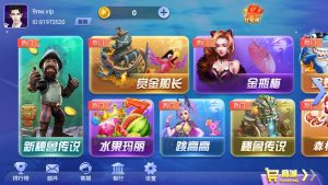 网狐新系列三网通大富豪-源码快车