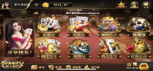 运营级胜博大金猪娱乐平台/完整组件解密双端/带网页注册下载/视频搭建教程-源码快车