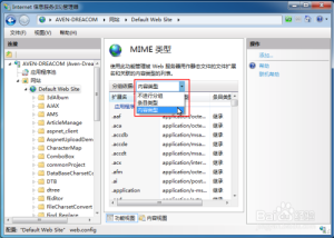 游戏开发中IIS常见支持MIME类型文件解析-源码快车
