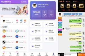 运营级二开飞鸟飞单H5源码/无授权完整数据/带控制/机器人/预设开奖-源码快车